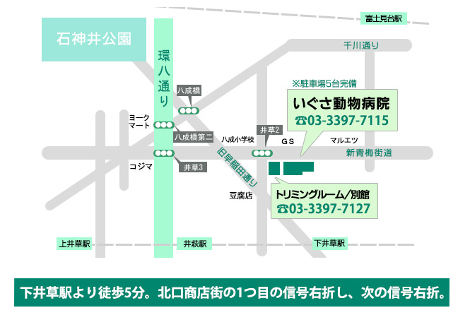 地図 アクセス 杉並区のいぐさ動物病院